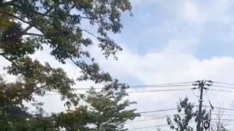 Dijual Tanah Pandangan Bojonegoro 600jt (Helena)