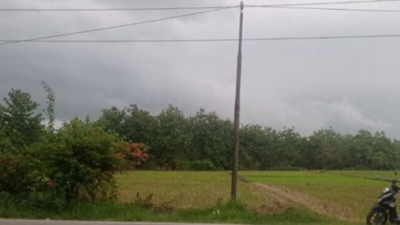 Dijual Tanah Bojonegoro Raya Pandangan 7M (Helena)