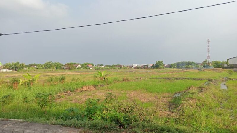 Dijual Tanah Lingkar Timur 2.7jt per meter (Julia)